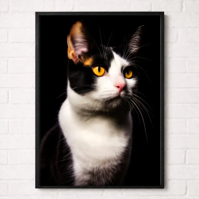 Kleurmedia Zwart-Witte Kat Poster - Huisdieren Collectie - Dieren Posters - A1+ 61 x 91,5 cm
