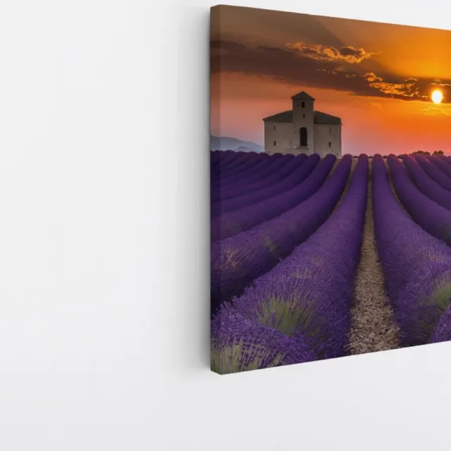 Saammp Canvas Schilderij - Lavendelveld met huis - Natuur - Landschap - 60x60 - Foto op canvas - Wanddecoratie - Muurdecoratie Woonkamer - Slaapkamer decoratie - Canvas Print Multicolor