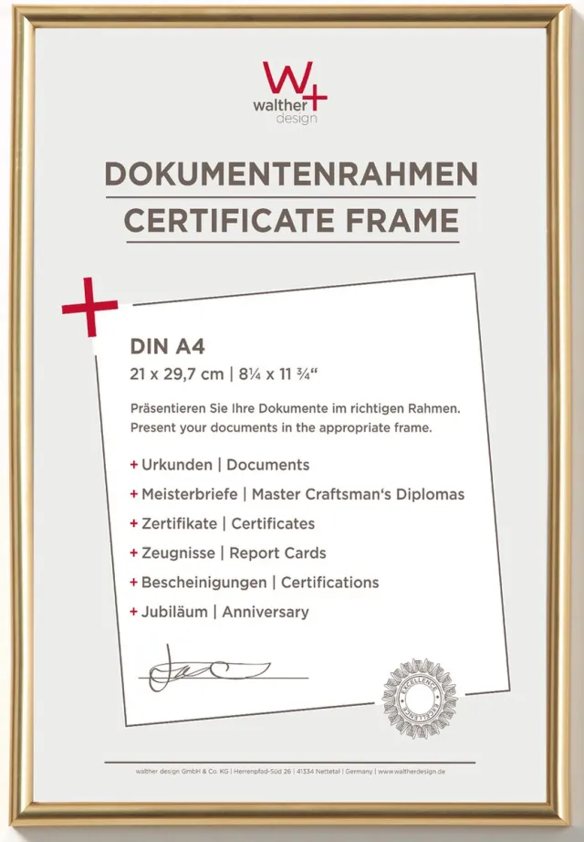 Walther Galeria - Kunststof lijst - Fotoformaat 21 x 29,7 cm (DIN A4) - Metallic Goud
