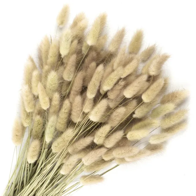 Ibenzoa Luxueus Gedroogd Bloemenboeket met 120 Natuurlijke Pluimen voor Stijlvolle Interieurdecoratie