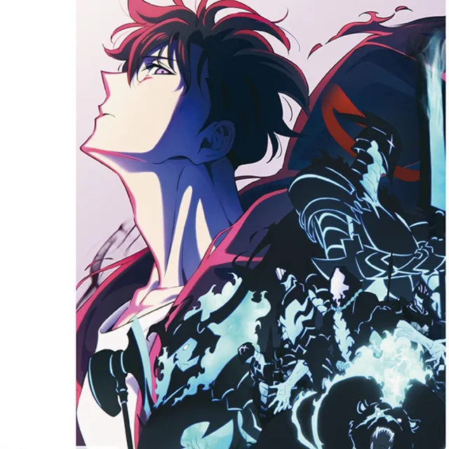 Solo Leveling Season 2 Unisex Poster - meerkleurig - Standard multicolor