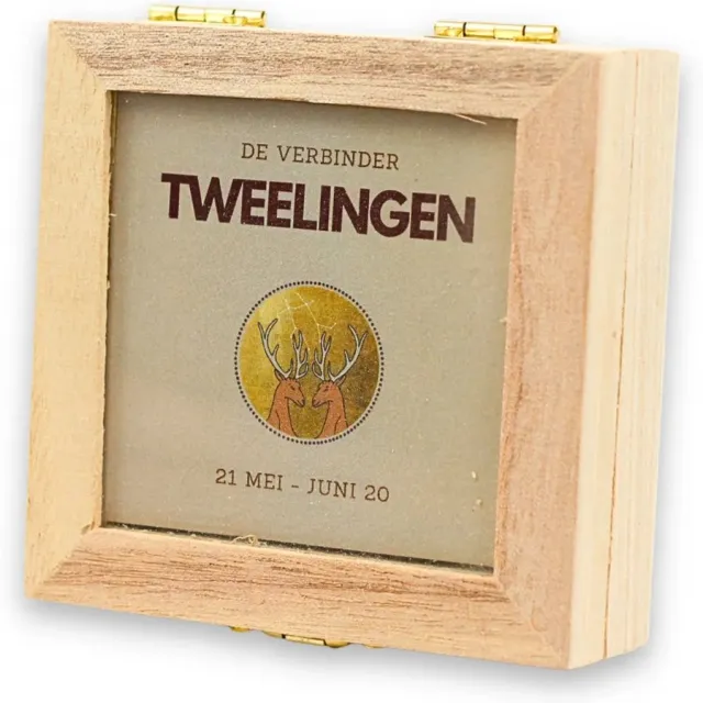 Ruben Robijn Sterrenbeeld trommelsteen setje - TWEELINGEN Bonte kleuren