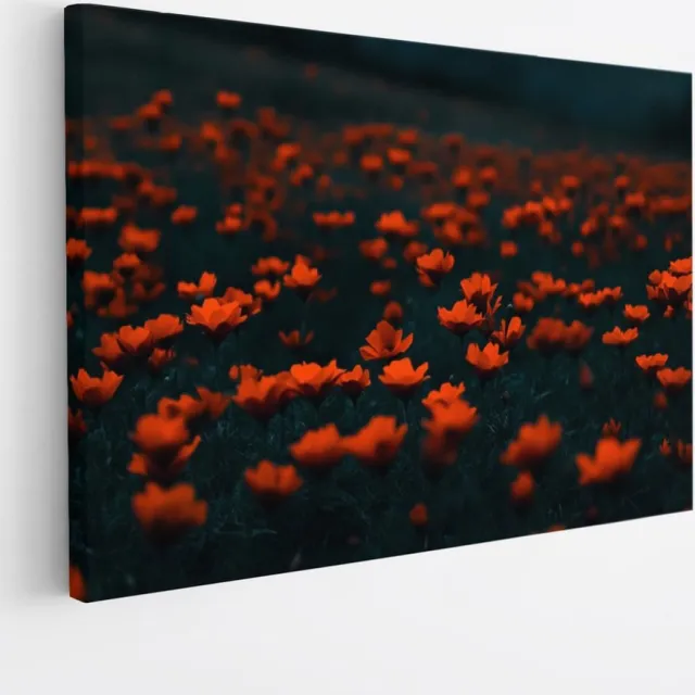 Saammp Canvas Schilderij - Oranje Bloemenveld - Natuur - Abstract - Kleurrijk - 70x50 - Foto op canvas - Wanddecoratie - Muurdecoratie Woonkamer - Kantoor Decoratie Multicolor