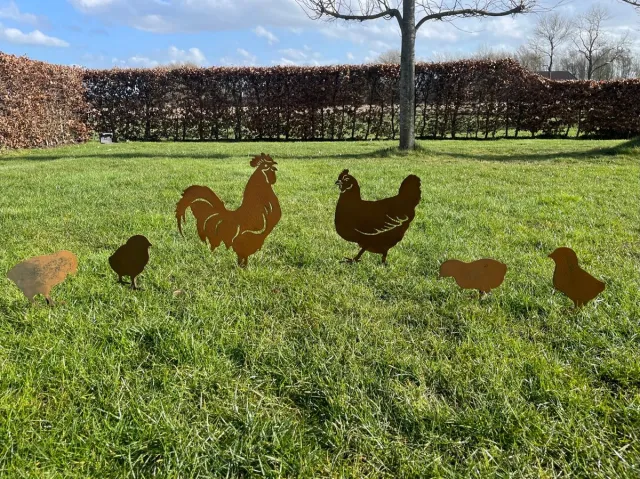 MIJN STAAL tuindecoratie, tuinbeelden voor buiten, cortenstaal ( roest) , cortenstalen , tuinsteker, haan met kip en 4 kuikens, metaal, staal