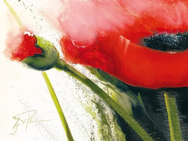 PGM Kunstdruk Gerd Pflumm - Faszination Mohn I 80x60cm Divers