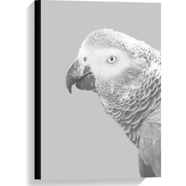 KuijsFotoprint Canvas - Papegaai in het zwart/wit - 40x60cm Foto op Canvas Schilderij (Wanddecoratie op Canvas)