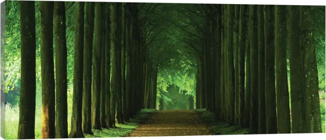 Canvas Schilderij - Donker bos - Natuur - Bos - Woud - Planten - Dieren - Donker - Schilderij Woonkamer - Schilderijen op canvas - Inclusief Frame - 45x145cm (LxB) Diverse kleuren