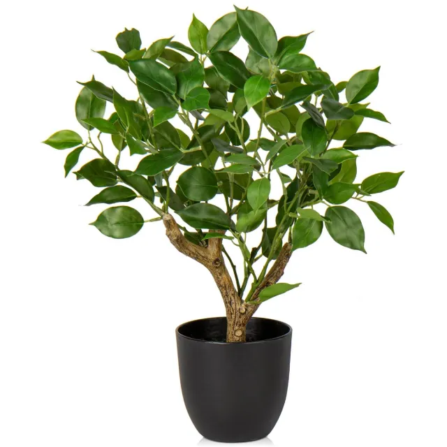 Briful Kunst Ficus Plant - Levensecht in Zwarte Pot - Decoratie voor Vensterbank, Woonkamer & Badkamer Groen