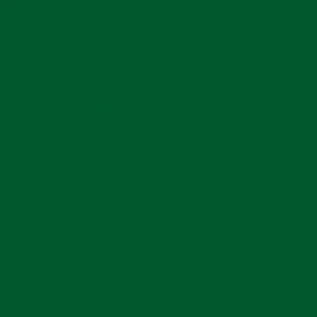2LIF Chalkboard Zelfklevende Folie Mini rol groen 67,5cmx1,5mtr
