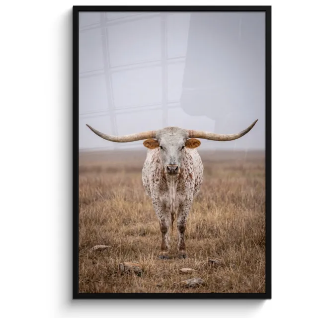 FrameYourWall Poster in lijst - Fotolijst 80x120 cm - Posters - Longhorn - Grasveld - Dier - Posterlijst zwart - Decoratie - Wanddecoratie woonkamer - Muurdecoratie slaapkamer