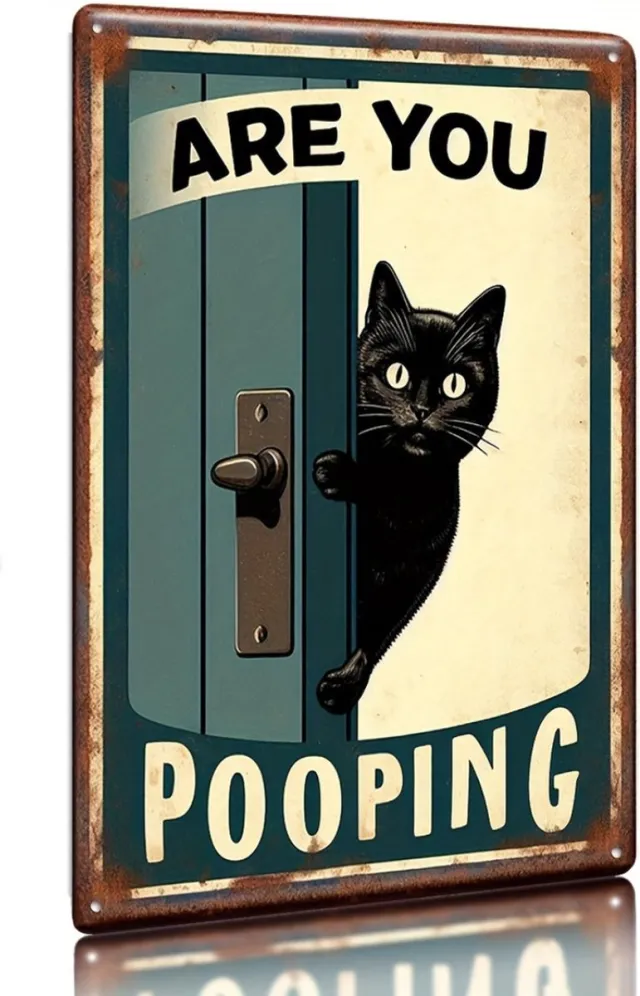 Nivard Are You Pooping Cat - Are You Pooping - Have A Nice Poop - Your Butt Napkins My Lord - Grappige Poster - 20x30cm Verschillend