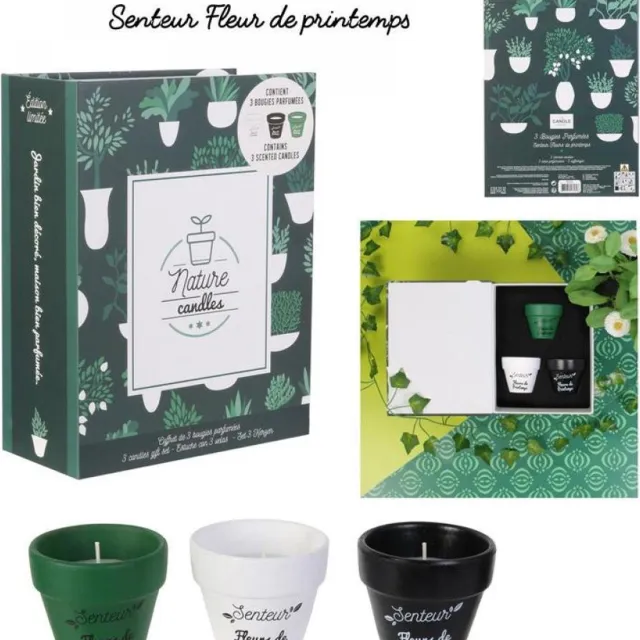 The Home Deco Factory Set van 3 Geurkaarsen - Natuurlijk & Decoratief Groen, Wit, Zwart