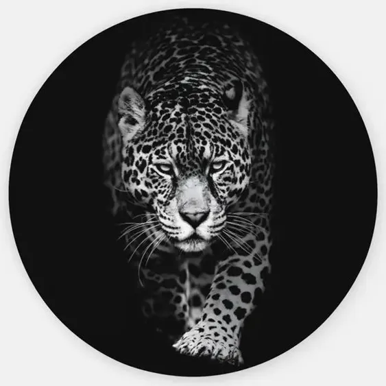 Trendex Global Rond Schilderij - Wilde Dieren - Luipaard - Muurcirkel print op Dibond - Moderne Schilderij - Wanddecoratie - 80 cm Grijs