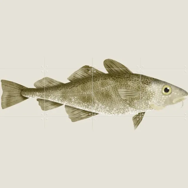 IXXI Codfish, Merel Corduwener - 80 x 60 cm - Grote wanddecoratie en posters - Illustraties, Keuken, Eetkamer, Woonkamer, Natuur, Zeeleven, Dieren Grijs / Pastel kleuren / Lichte tinten