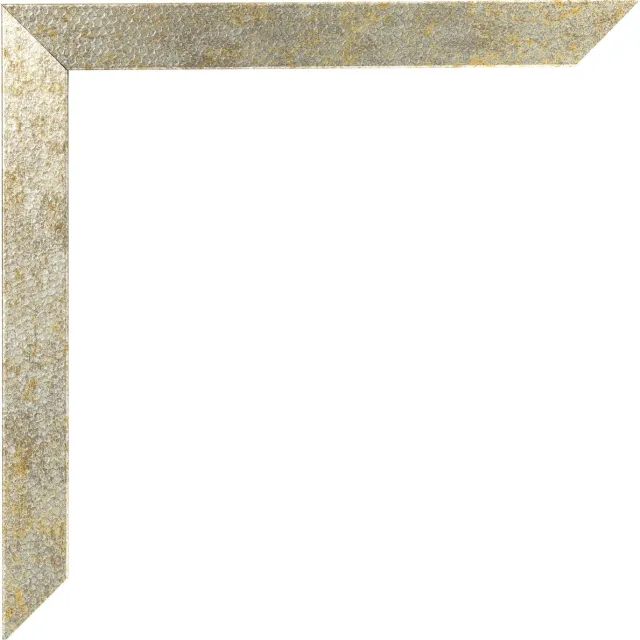 Dutch Frame Factory Fotolijst 30x30 cm - MDF - Zilver-Goud Hamerslag - Benno