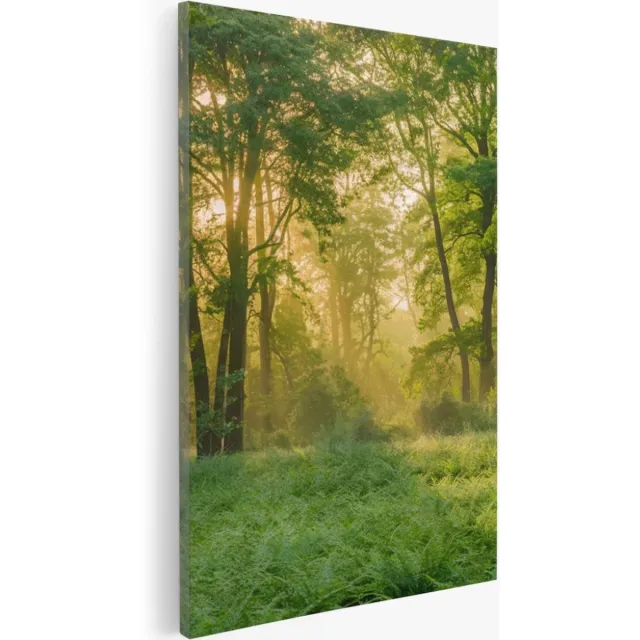Saammp Canvas Schilderij - bos - Grote Bomen - Landschap - Natuur - 60x90 - Foto op canvas - Wanddecoratie - Muurdecoratie Woonkamer - Slaapkamer decoratie - Canvas Print Multicolor