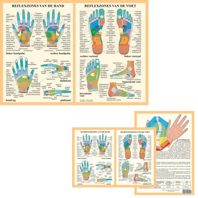 van Baarle Anatomie poster hand- en voetreflexologie (Nederlands, gelamineerd, A2 + A4) nvt