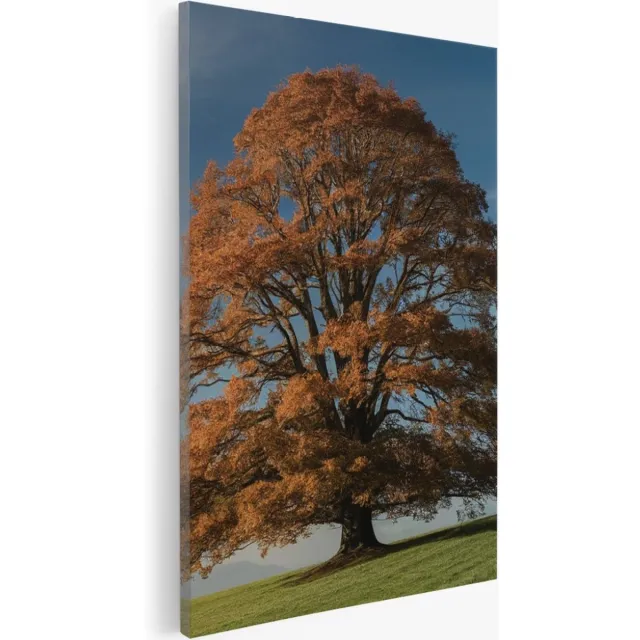 Saammp Canvas Schilderij - Grote Boom op berg - Natuur - Landschap - 40x50 - Foto op canvas - Wanddecoratie - Muurdecoratie Woonkamer - Slaapkamer decoratie - Canvas Print Multicolor