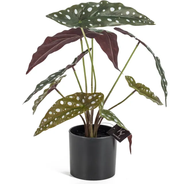 homebound by ky Stippen kunstplant in pot zwart