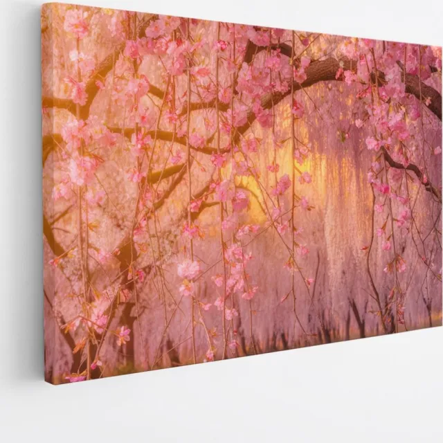 Saammp Canvas Schilderij - Roze bloesem met zonsondergang - Natuur - Landschap - 40x30 - Foto op canvas - Wanddecoratie - Muurdecoratie Woonkamer - Slaapkamer decoratie - Canvas Print Multicolor