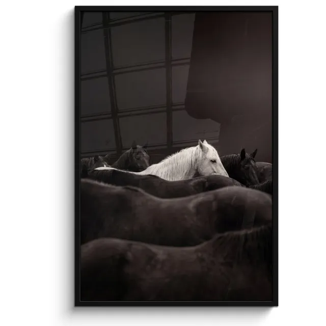FrameYourWall Poster in lijst - Fotolijst 80x120 cm - Posters - Paarden - Zwart - Wit - Kudde - Posterlijst zwart - Decoratie - Wanddecoratie woonkamer - Muurdecoratie slaapkamer