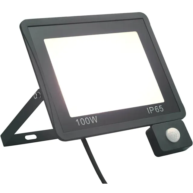 vidaXL Spotlight met sensor LED 100 W koudwit Zwart