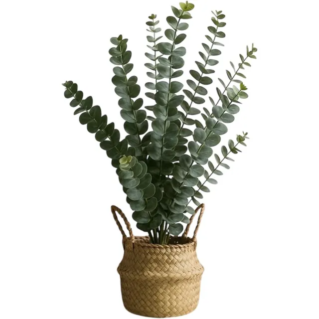 HEM Kunstplant Eucalyptus – 50 cm – Nepplant met Mand – Realistische Kamerplant – Groene Decoratie voor Woonkamer of Kantoor
