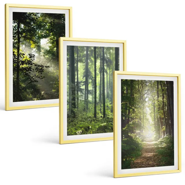 TULUP 4-Delige Schilderij Set - Groene bossen met zonnestralen en een bospad - 40 x 60 cm - Wanddecoratie - Muurdecoratie - Moderne Interieurdecoratie - Moderne Wanddecoratie Gouden lijst