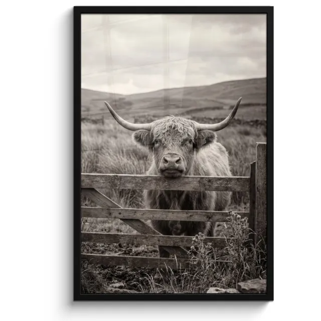 FrameYourWall Poster in lijst - Fotolijst 60x90 cm - Posters - Schotse hooglander - Zwart - Wit - Hout - Posterlijst zwart - Decoratie - Wanddecoratie woonkamer - Muurdecoratie slaapkamer