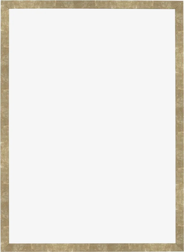 Dutch Frame Factory Fotolijst 59x84 cm - MDF - Goud Antiek - Benno