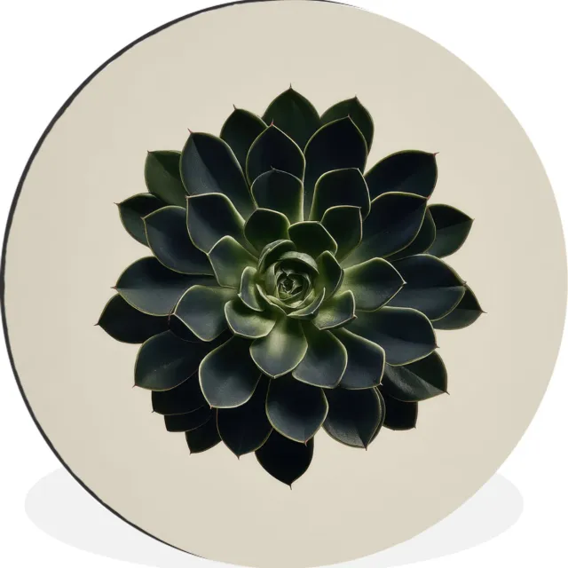 WallCircle Wandcirkel - Muurcirkel - Rozet - Cirkelvormig - Donkergroen - Aluminium - Dibond - 30x30 cm - Binnen en Buiten