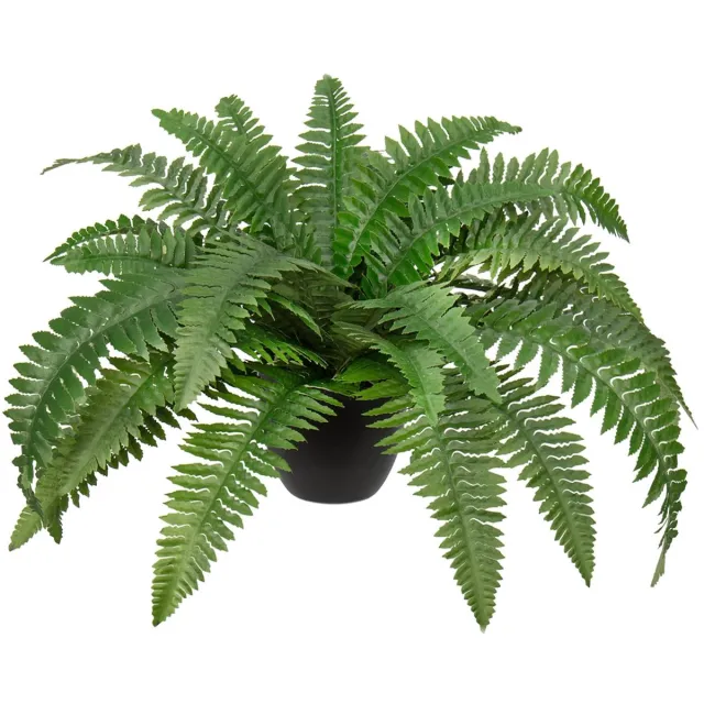 Ibenzoa Grote Natuurlijke Uitstraling Kunstplant voor Binnen en Buiten - 60 cm Boston Varen in Zwarte Pot kleur1