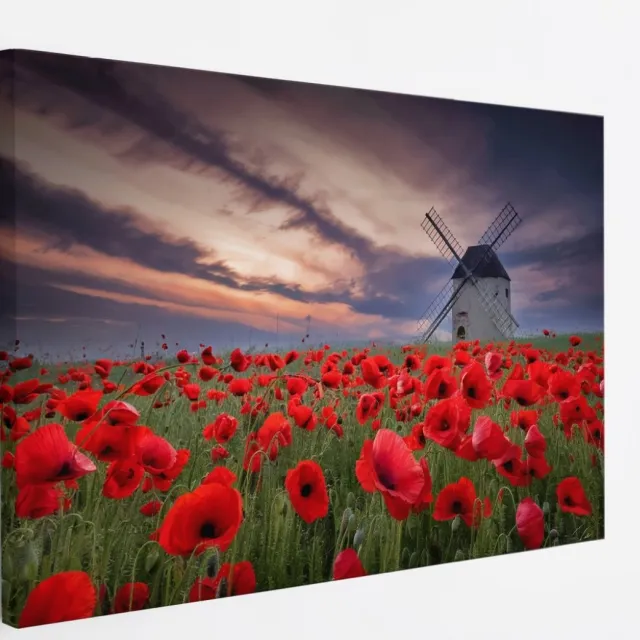 Saammp Canvas Schilderij - Klaprozen met molen - Bloemen - Landschap - Natuur - 60x40 - Foto op canvas - Wanddecoratie - Muurdecoratie Woonkamer - Slaapkamer decoratie - Canvas Print Multicolor