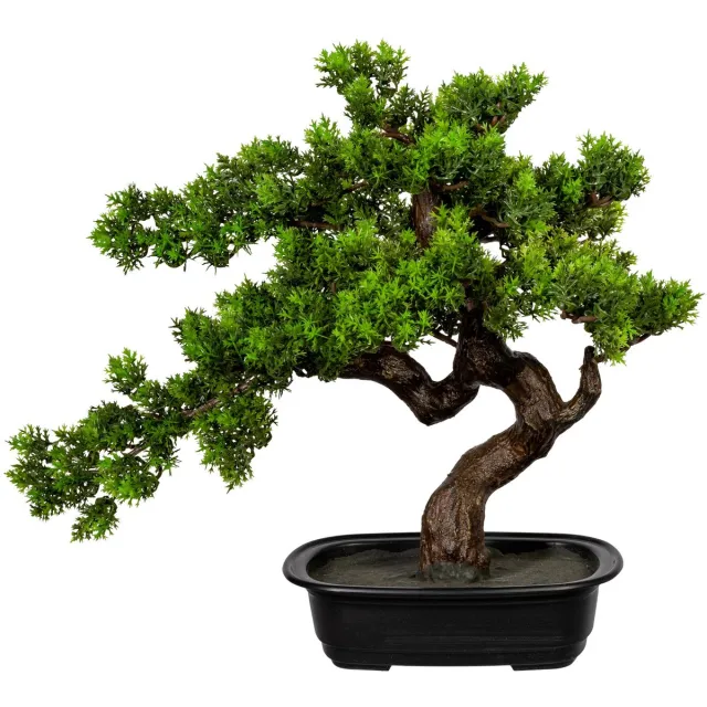 Kopu Myrthe Bonsai - Ca. 40x40 cm - In Een Zwarte Plastic Pot Groen