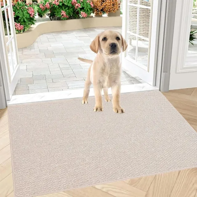 Famanu Deurmat voor binnen, 80 x 100 cm, antislip en wasbaar, schoonloopmat, waterdichte en absorberende deurmat voor de ingang, voordeur (beige