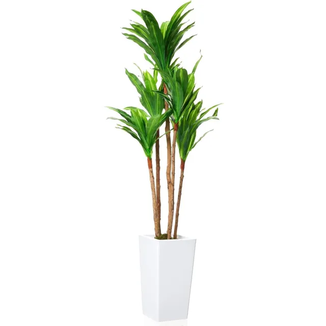Triumpunpre Nep Dracaena Boom 4.8FT - Natuurlijke Houtstam - Onderhoudsvrije Interieurdecor