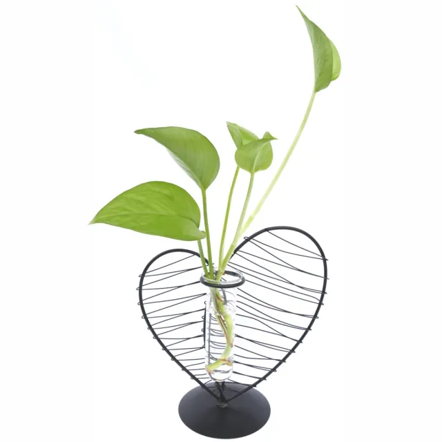 Decopatent Metalen Hart Vaas met Glazen Buis – Decoratief Silhouet Vaasje voor Bloemen & Stekjes Zwart Hart met Glazen Silhouet Buis Vaasje