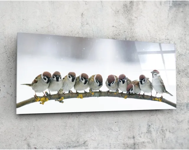 Insigne Art Panorama Glasschilderij - Vogels - Foto Print Op Glas - 92 x 36 cm Kleurrijk