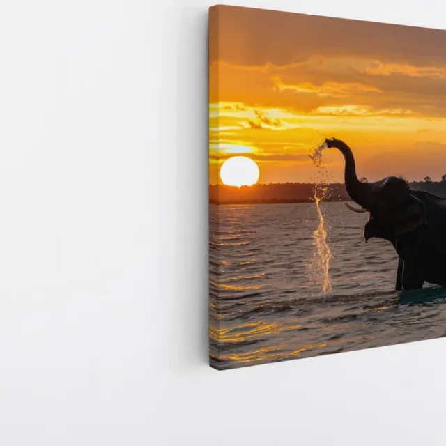 Saammp Canvas Schilderij - Spelende Olifant in het water - Dieren - 30x30 - Foto op canvas - Wanddecoratie - muurdecoratie Woonkamer - Slaapkamer decoratie - Canvas Print Multicolor