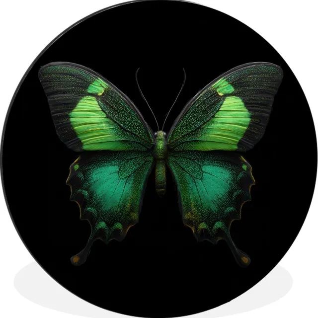 WallCircle Wandcirkel - Muurcirkel - Vlinder - Groen - Opvallend - Aluminium - Dibond - 60x60 cm - Binnen en Buiten