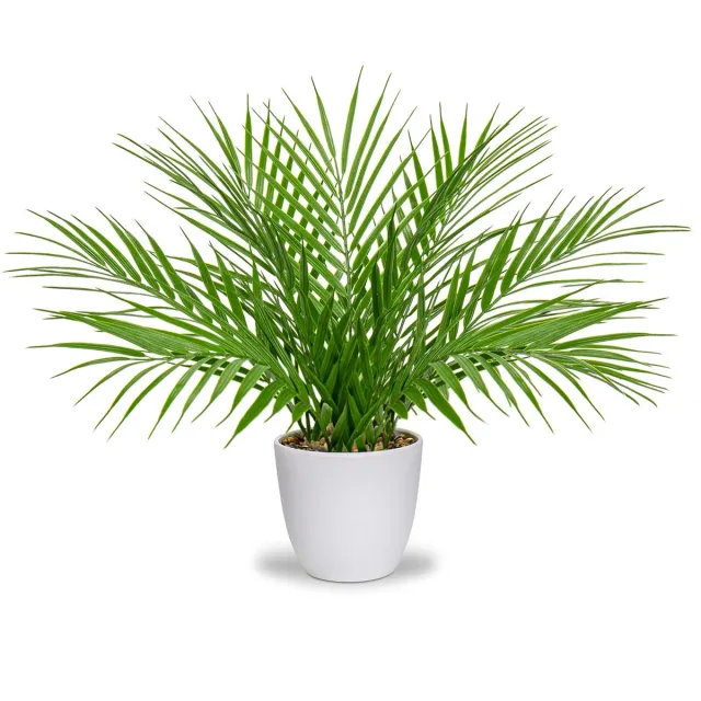 Ibenzoa Kunstmatige Palmboom in Witte Pot voor Diverse Interieurdecoratie groen