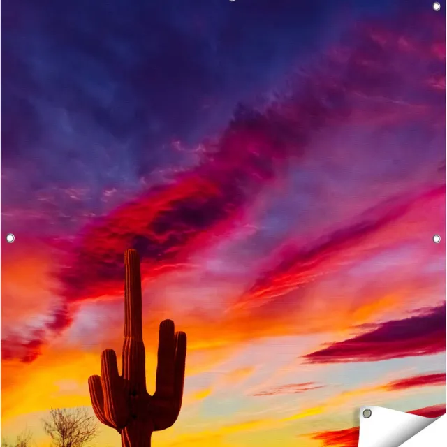 Gards Tuinposter Cactus bij Oranje Zonsondergang - 100x100 cm - Tuindoek - Tuindecoratie - Wanddecoratie buiten - Tuinschilderij Multikleur