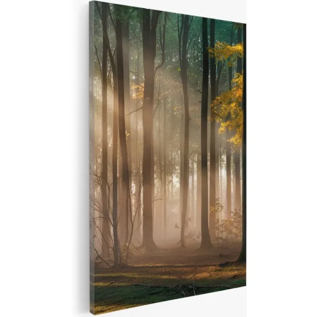 Saammp Canvas Schilderij - Bos met zonneschijn- Landschap - Bloemen - Natuur - 30x40 - Foto op canvas - Wanddecoratie - Muurdecoratie Woonkamer - Slaapkamer decoratie - Canvas Print Multicolor