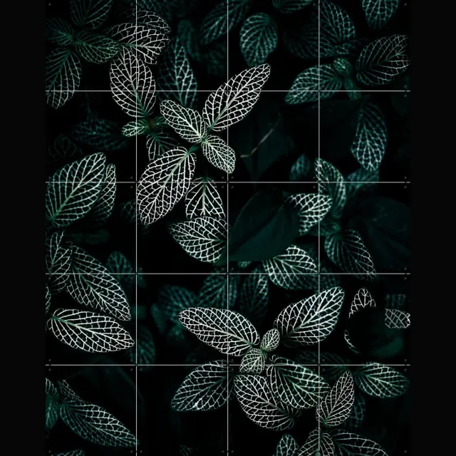 IXXI Dark Leaves, Mareike Böhmer - 80 x 100 cm - Grote wanddecoratie en posters - Fotografie, Naturalisme, Slaapkamer, Woonkamer, Eetkamer, Planten Groen / Donkere tinten