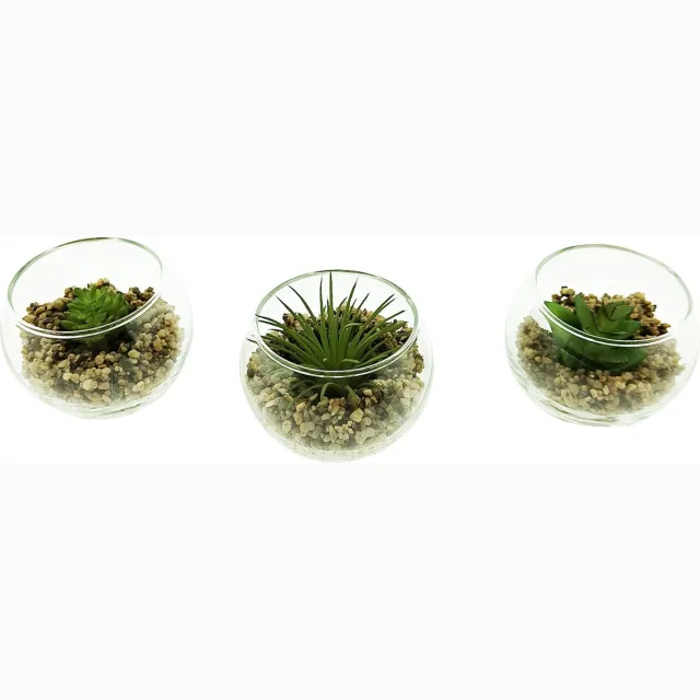 Ecolife Decoratieve Kunstplanten in Glazen Bol H5cm x B6.5cm - 3 Stuks Glas is Transparant