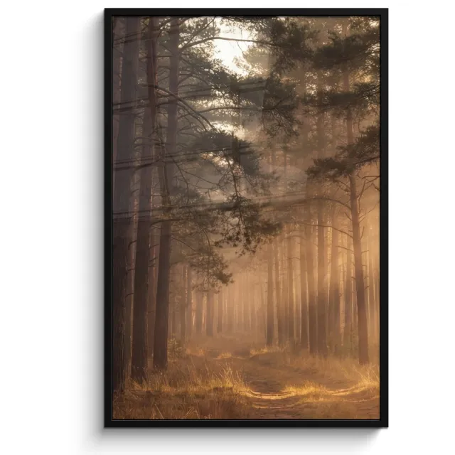 FrameYourWall Poster in lijst - Fotolijst 80x120 cm - Posters - Bos - Mist - Zonlicht - Posterlijst zwart - Decoratie - Wanddecoratie woonkamer - Muurdecoratie slaapkamer