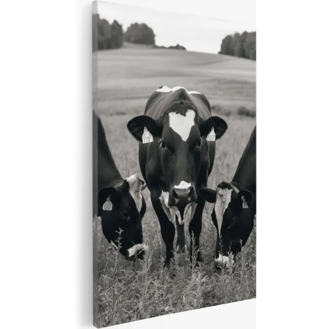 Saammp Canvas Schilderij - 3 koeien in de wei - Natuur - Dieren - 100x150 - Foto op canvas - Wanddecoratie - Muurdecoratie Woonkamer - Slaapkamer decoratie - Canvas Print Multicolor
