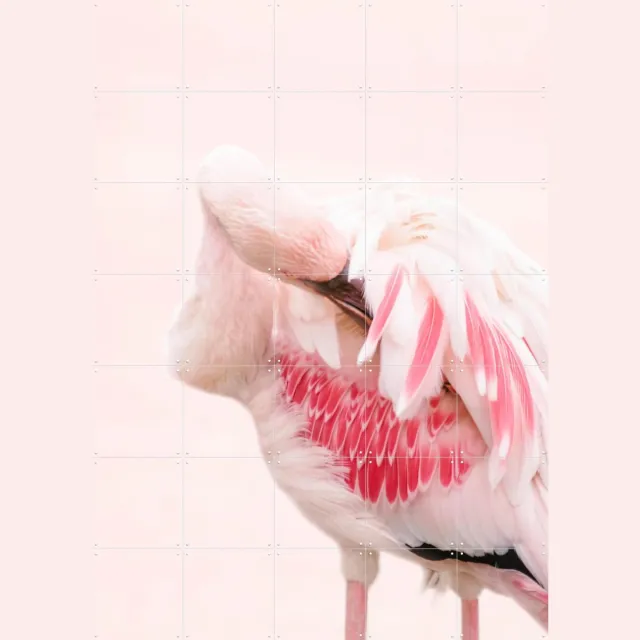 IXXI Pink Flamingo, Ingrid Beddoes - 100 x 140 cm - Grote wanddecoratie en posters - Fotografie, Kleurrijk, Badkamer, Slaapkamer, Woonkamer Roze