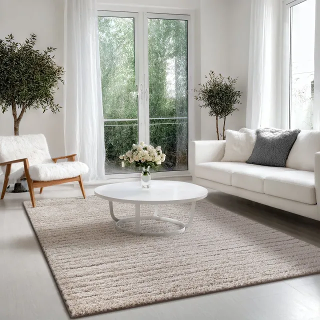 the carpet Bahar Shaggy – Modern hoogpolig vloerkleed in Scandinavische stijl, onderhoudsvriendelijk, beige, 80 x 150 cm