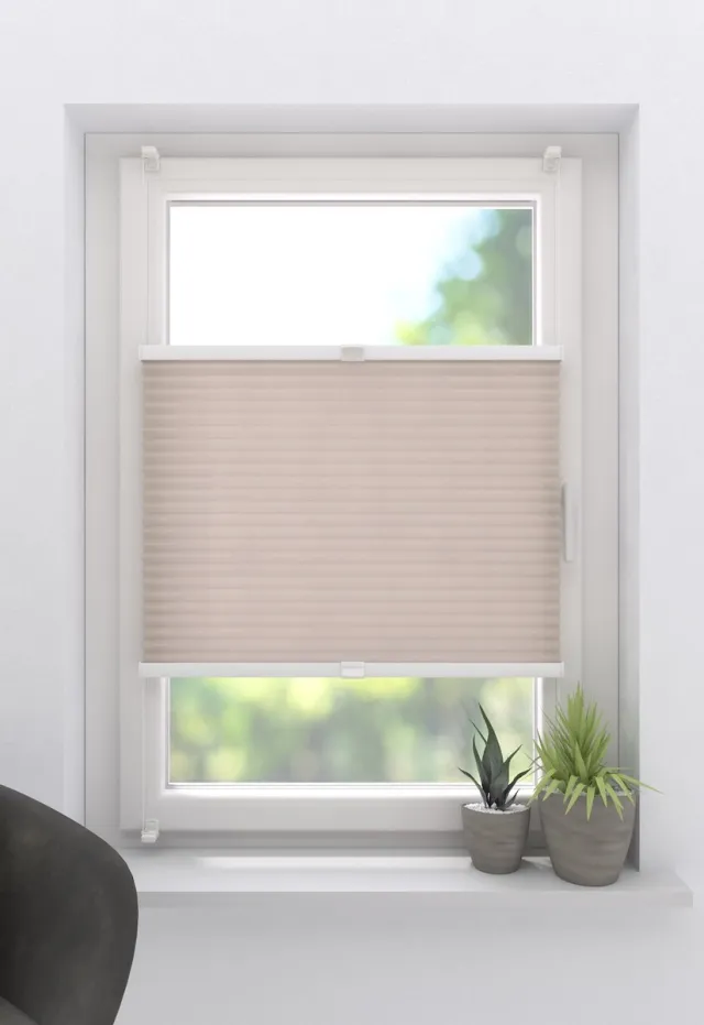 DTCH Plissegordijn Fine Honingraat - Lichtdoorlatend - Beige - 40 x 130